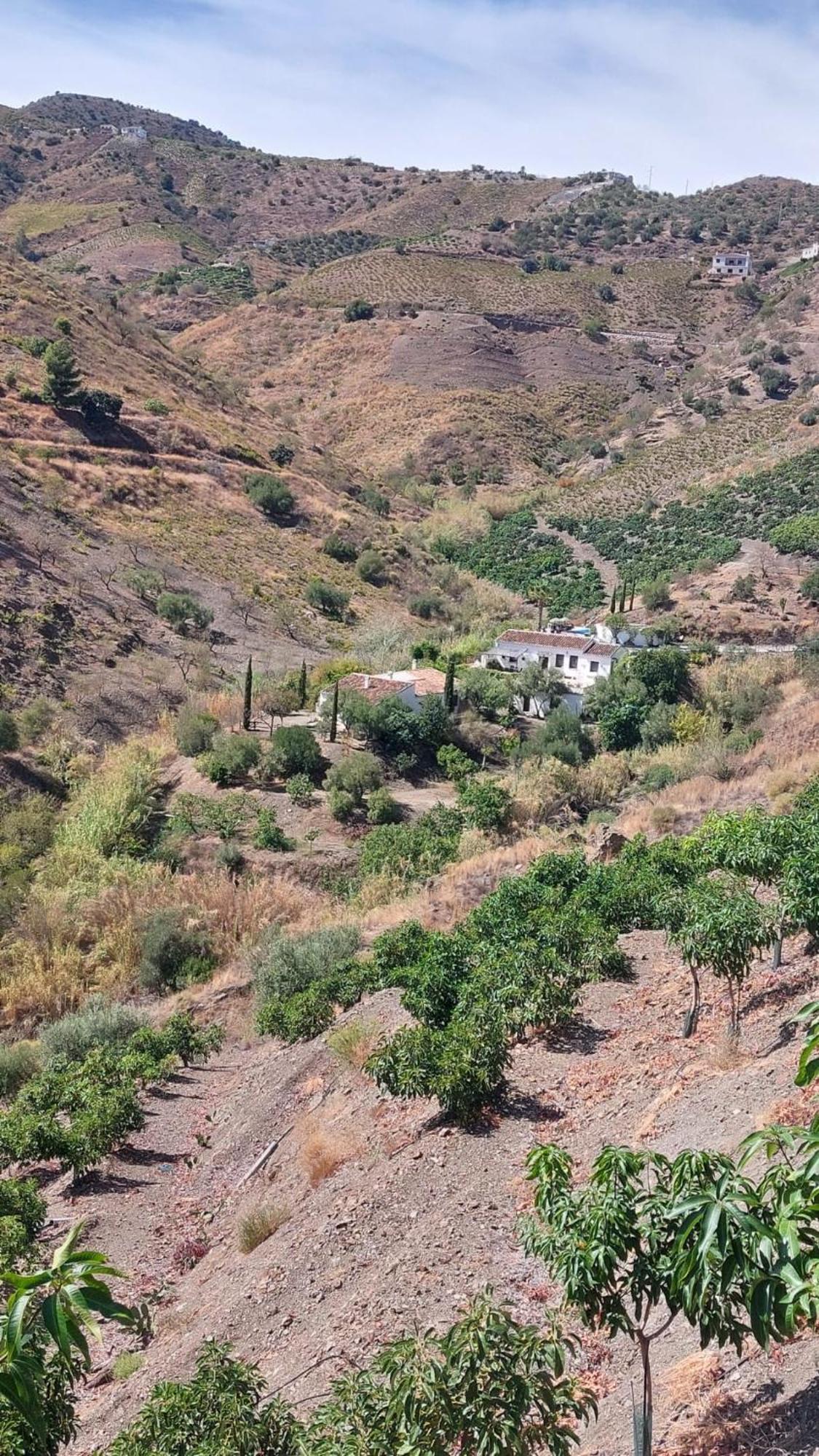 Cortijo Lagar De Luisa Guest House Borge Екстериор снимка