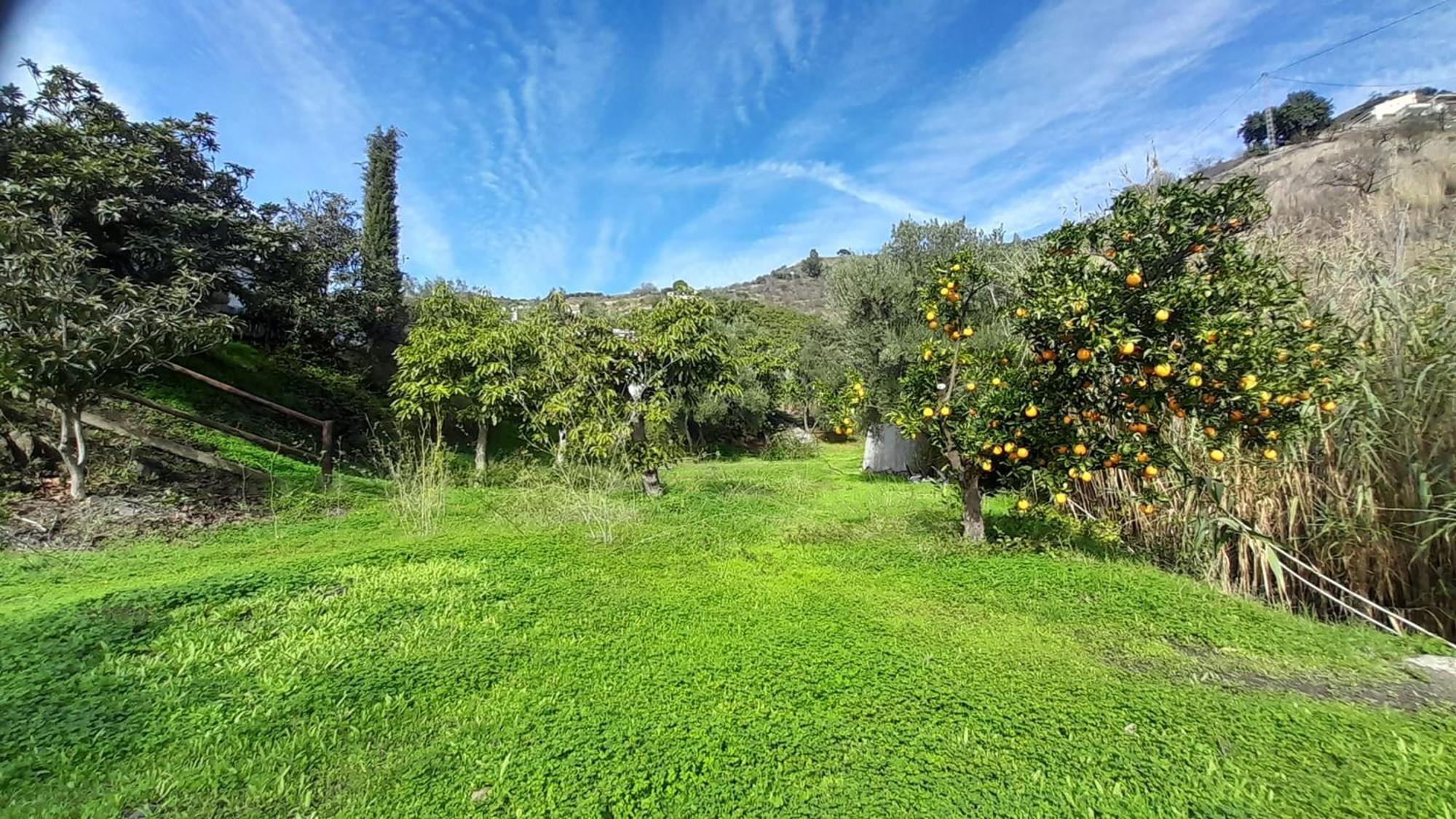 Cortijo Lagar De Luisa Guest House Borge Екстериор снимка