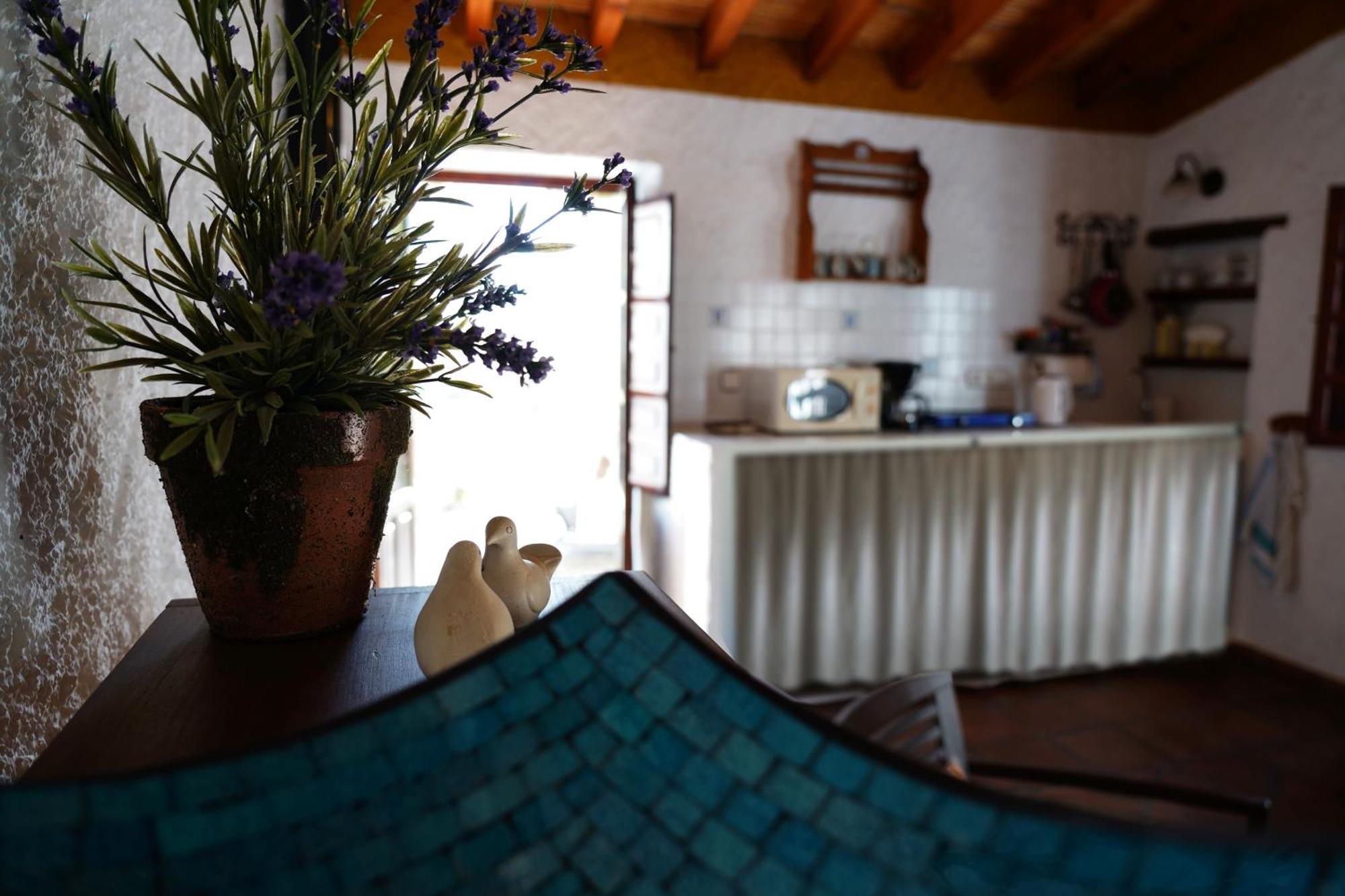 Cortijo Lagar De Luisa Guest House Borge Екстериор снимка