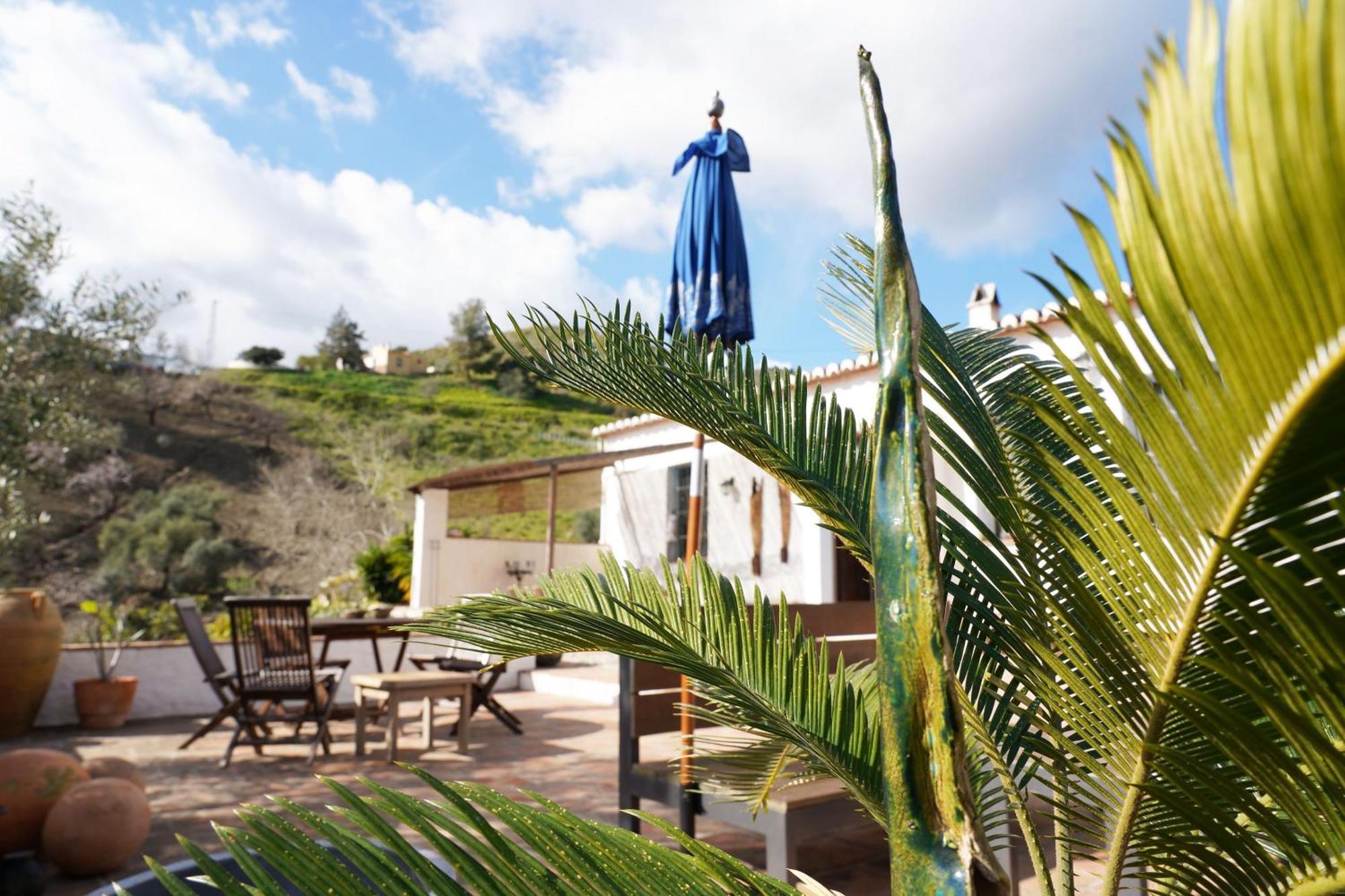 Cortijo Lagar De Luisa Guest House Borge Екстериор снимка