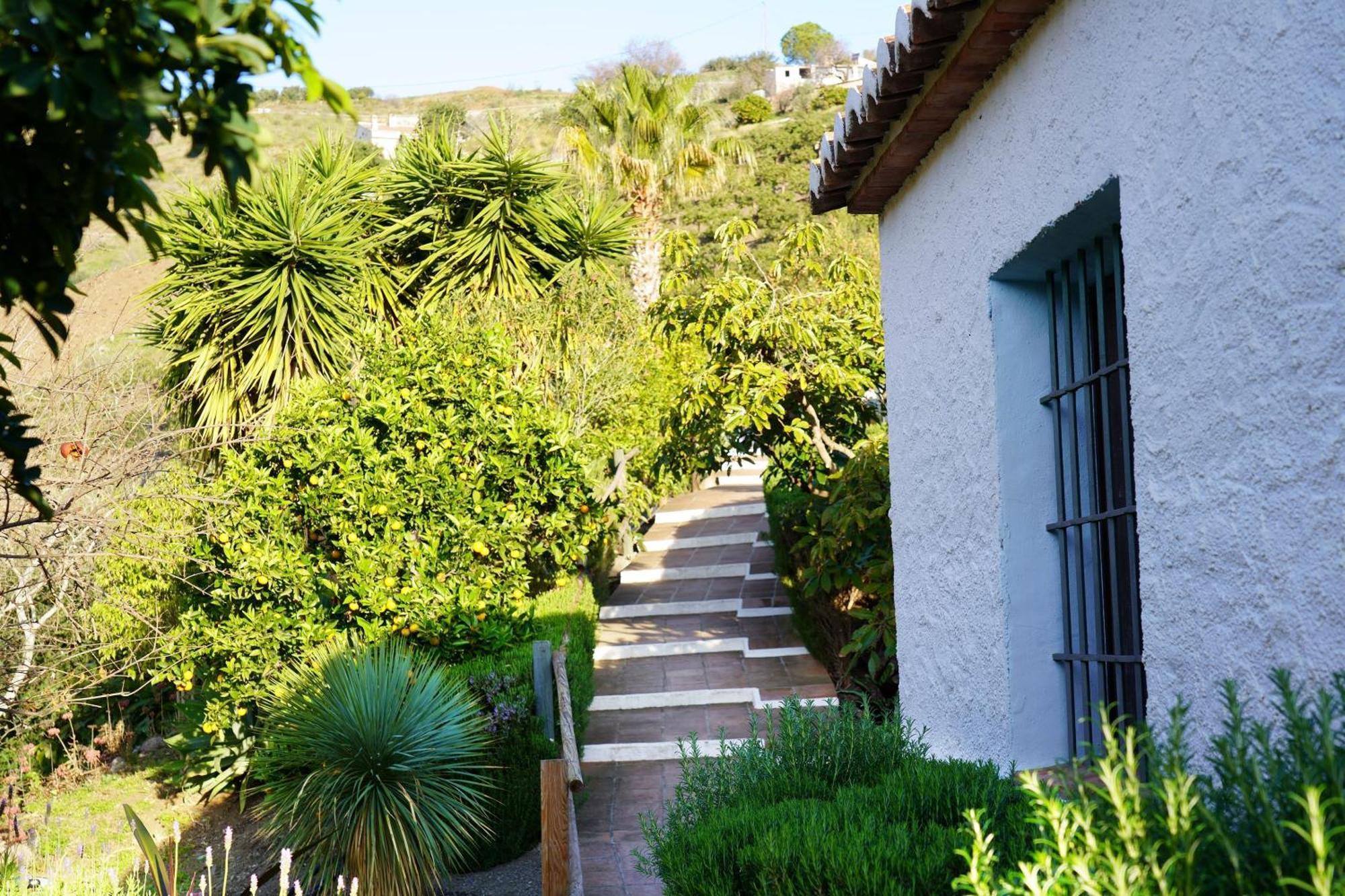 Cortijo Lagar De Luisa Guest House Borge Екстериор снимка