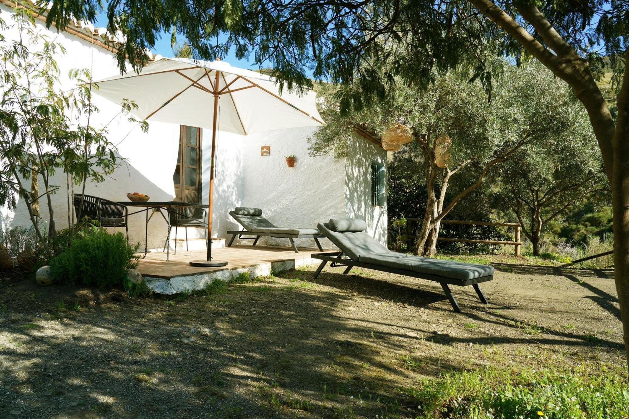 Cortijo Lagar De Luisa Guest House Borge Екстериор снимка
