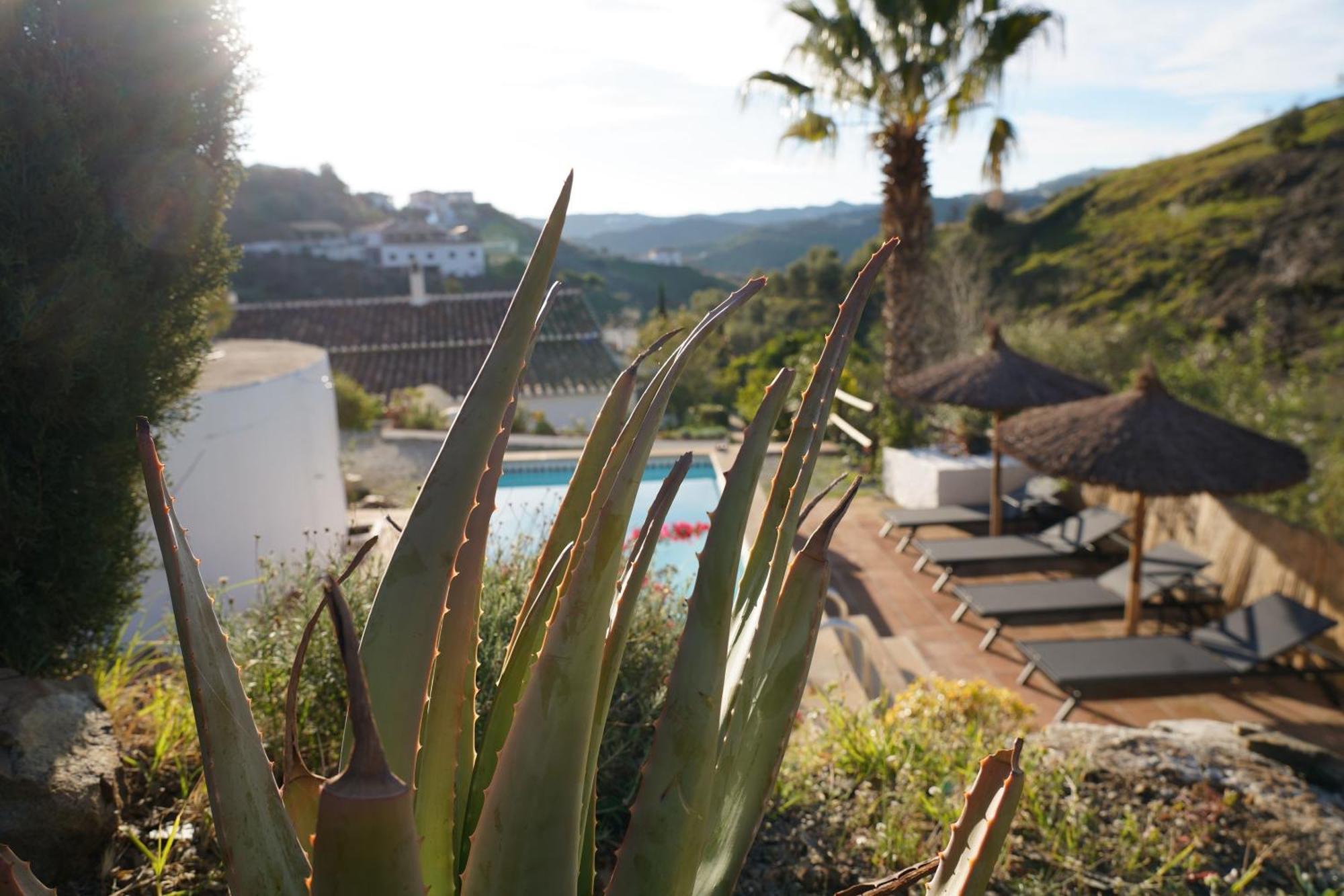 Cortijo Lagar De Luisa Guest House Borge Екстериор снимка
