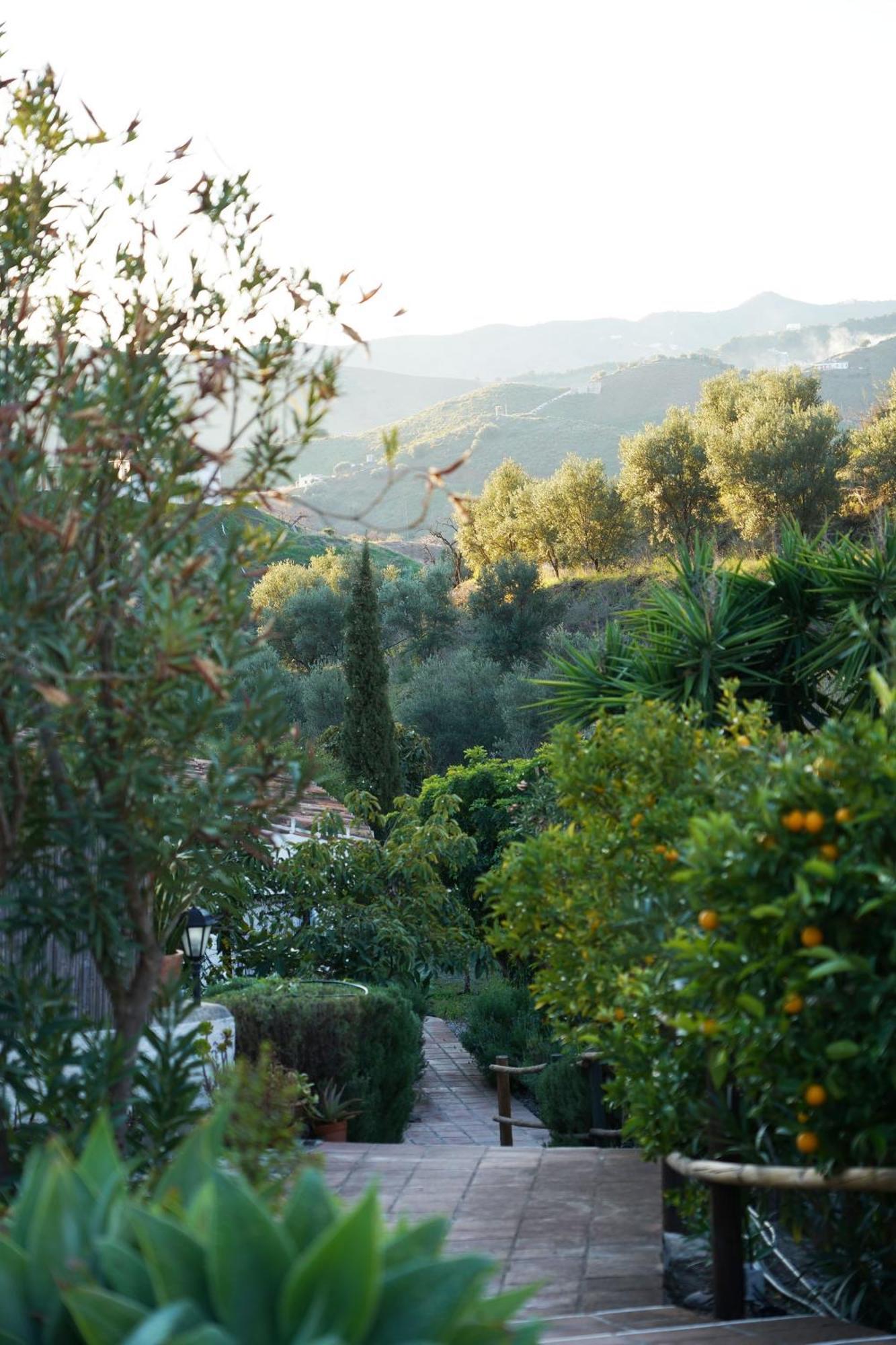 Cortijo Lagar De Luisa Guest House Borge Екстериор снимка
