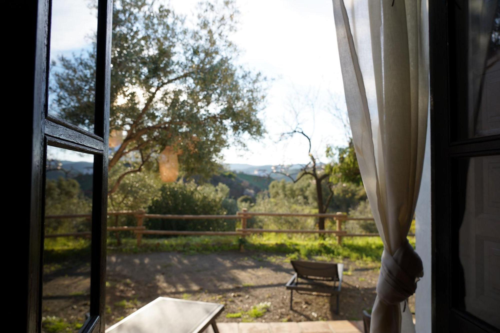 Cortijo Lagar De Luisa Guest House Borge Екстериор снимка