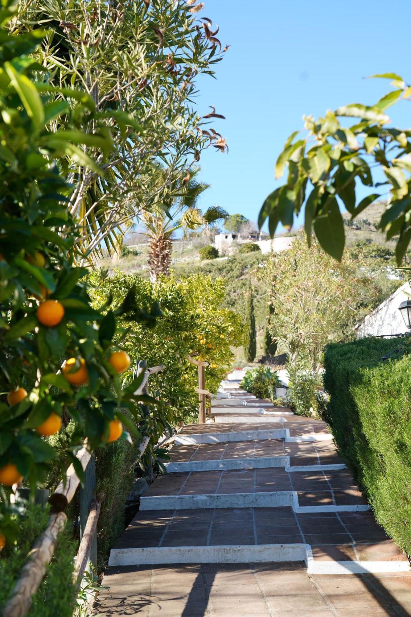 Cortijo Lagar De Luisa Guest House Borge Екстериор снимка