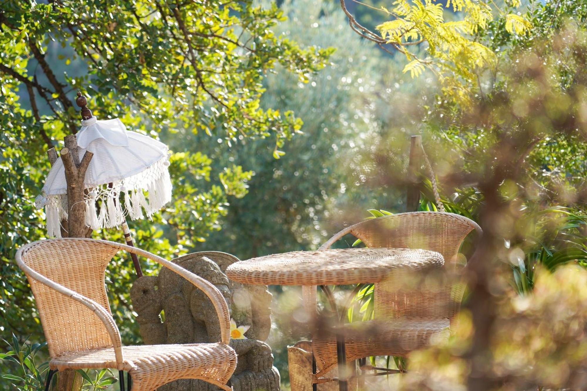 Cortijo Lagar De Luisa Guest House Borge Екстериор снимка