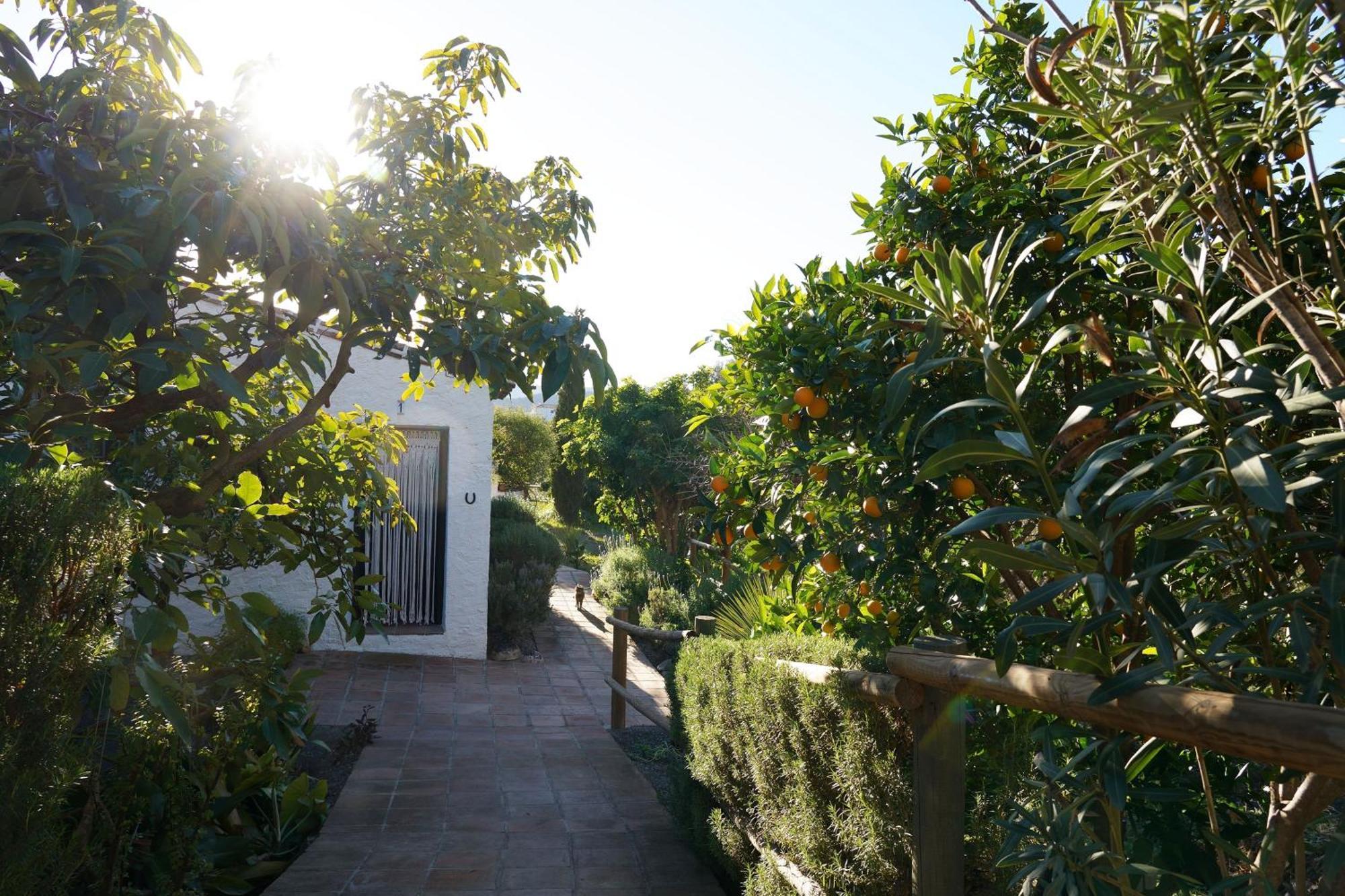Cortijo Lagar De Luisa Guest House Borge Екстериор снимка