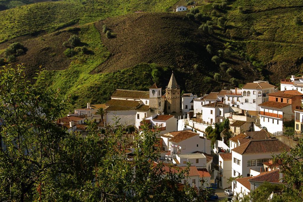 Cortijo Lagar De Luisa Guest House Borge Екстериор снимка