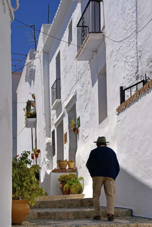 Cortijo Lagar De Luisa Guest House Borge Екстериор снимка